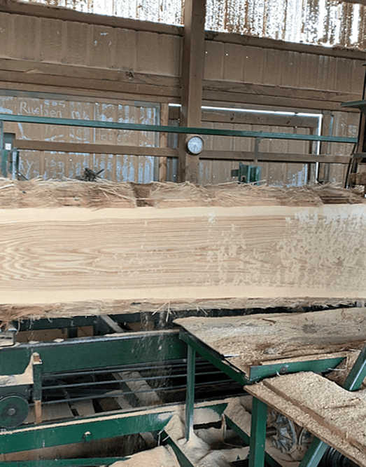 pine-new-gal-04