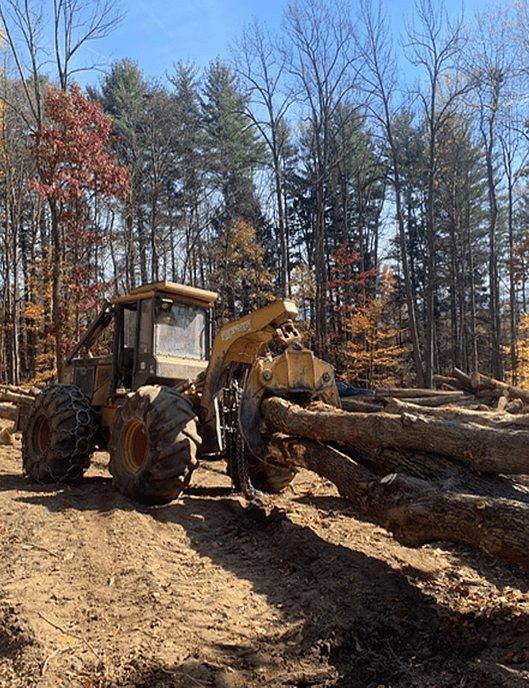 pine-new-gal-10